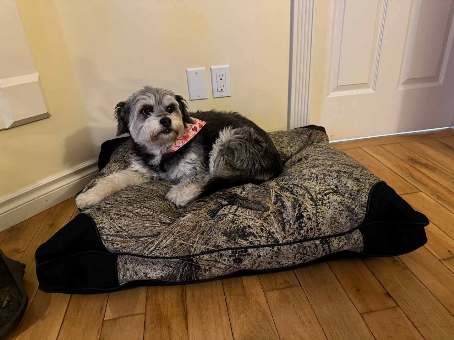 Dog Bed