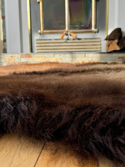 Bison Rug