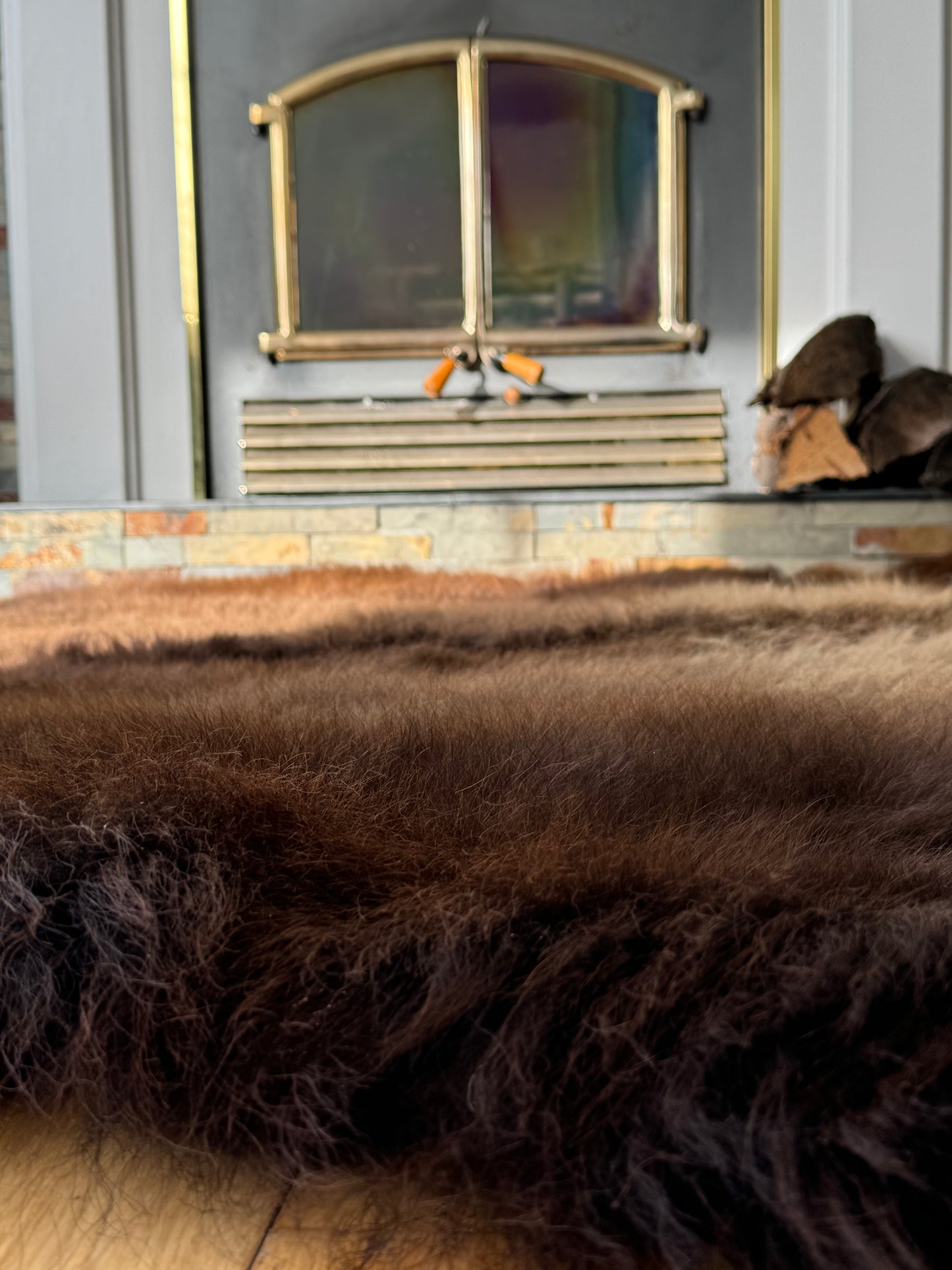 Bison Rug