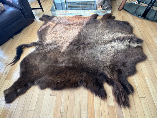 Bison Rug