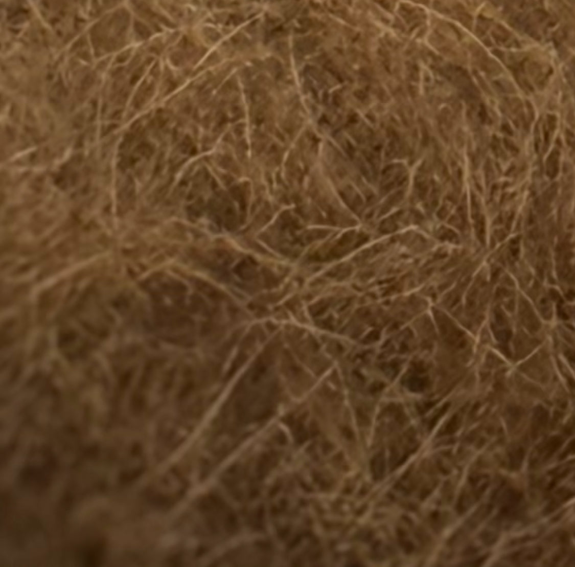 FOREST - 1/2 lb. Bison fibre for Conservation Biodiversity